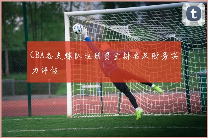 CBA各支球队注册资金排名及财务实力评估