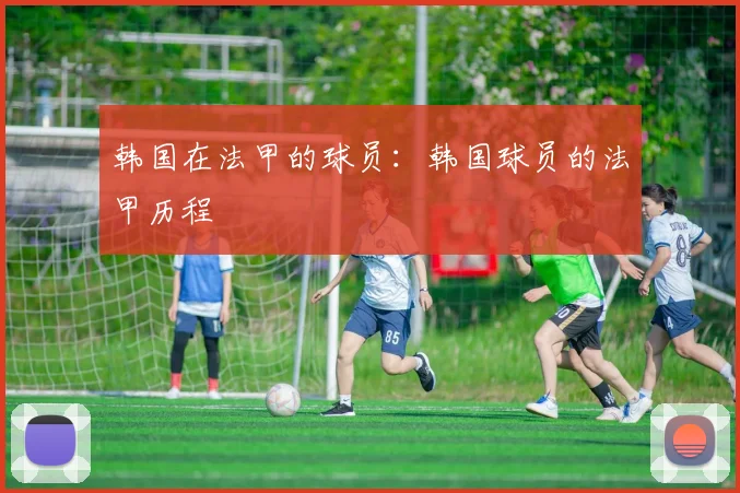 韩国在法甲的球员:韩国球员的法甲历程