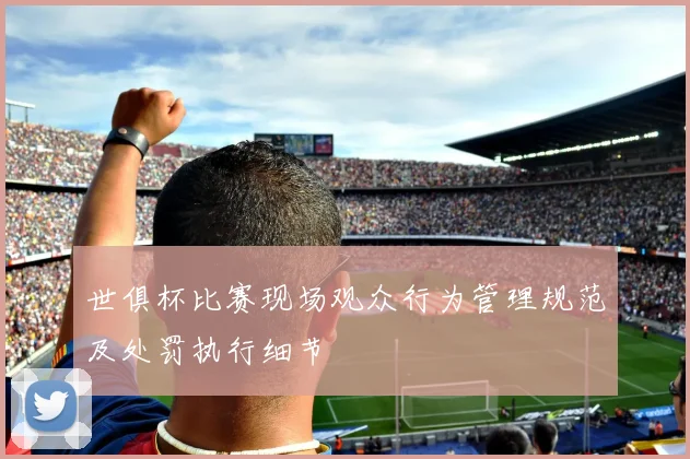 世俱杯比赛现场观众行为管理规范及处罚执行细节