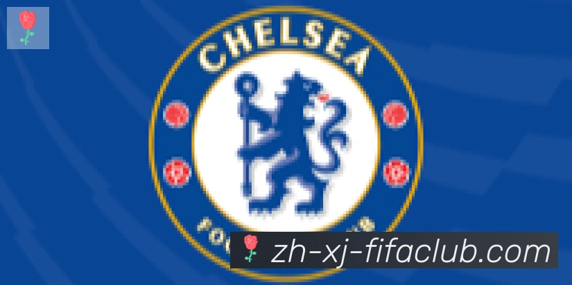 世界杯买球合作伙伴
