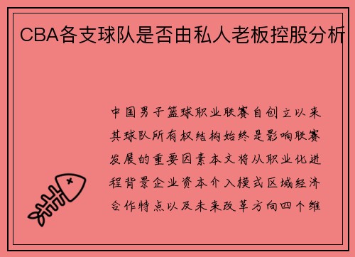 CBA各支球队是否由私人老板控股分析